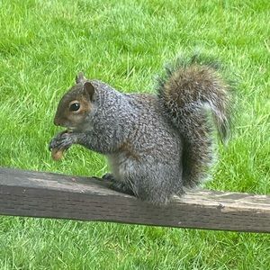 Meet your Posher, Jody